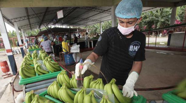 Temas sensibles en la cita Ecuador- Estados Unidos