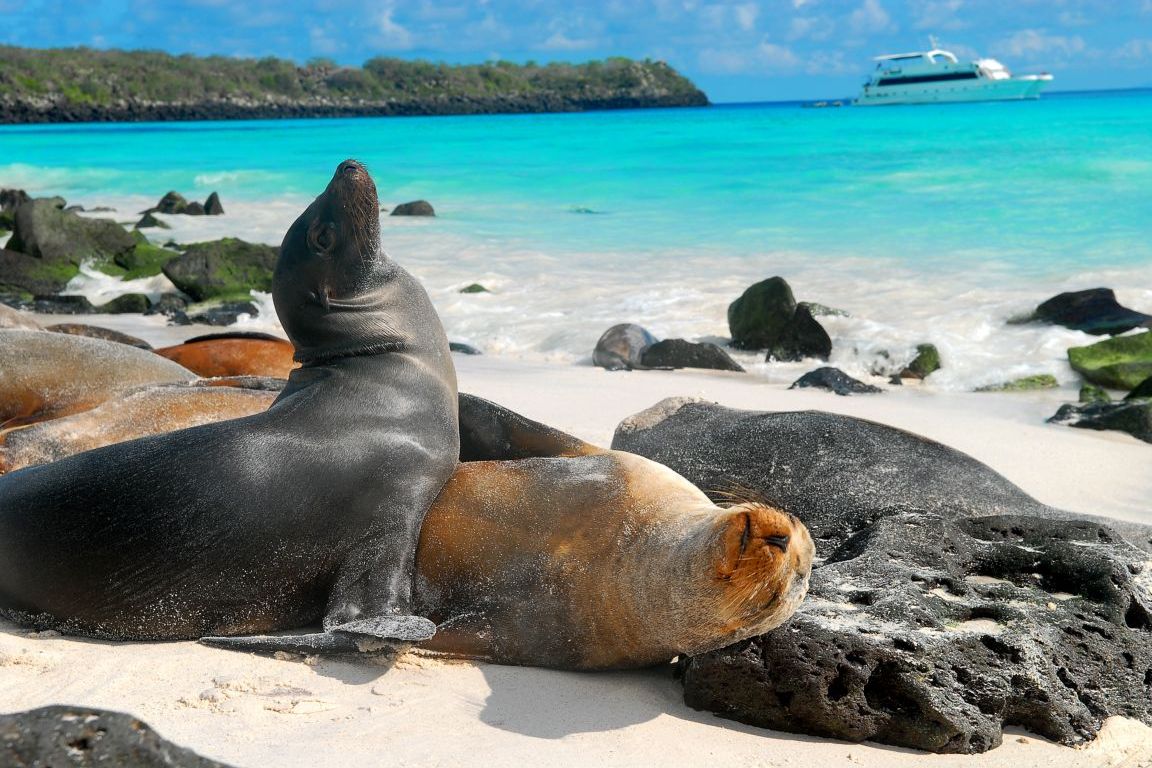 Galápagos, las mejores islas del mundo