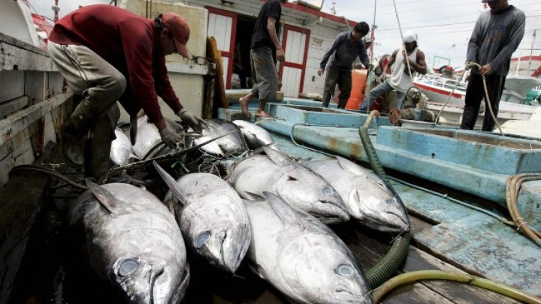 Ecuador, una guía contra la pesca ilegal