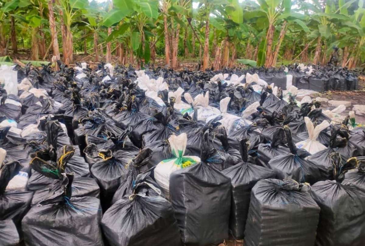 revista-la-verdad-ecuador-narcos-usaron-una-hacienda-en-vinces-para-ocultar-armas-y-cerca-de-22-toneladas-de-drogas